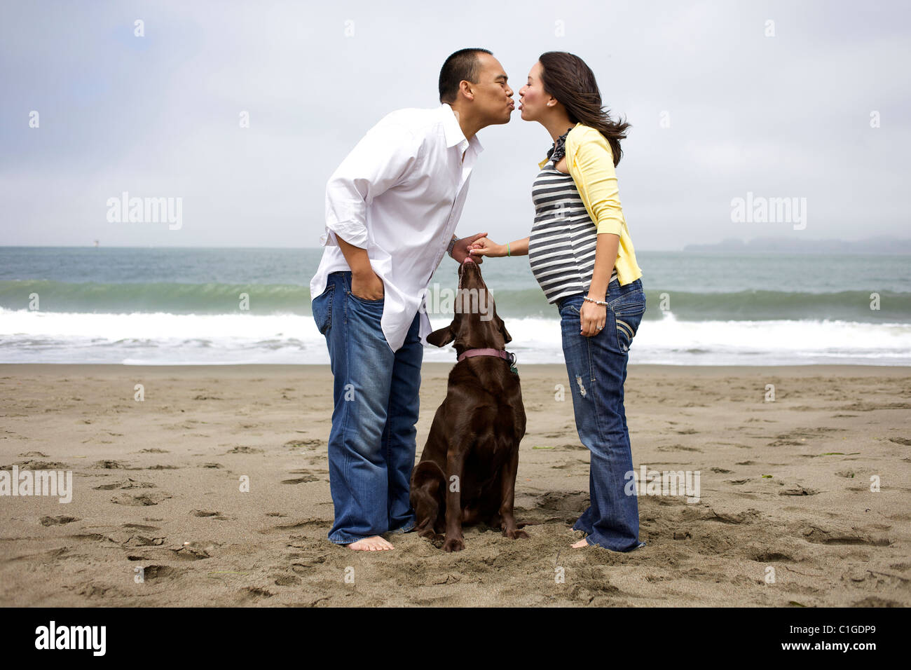 Ehemann küssen schwanger Frau am Strand, während Hund Uhren Stockfoto