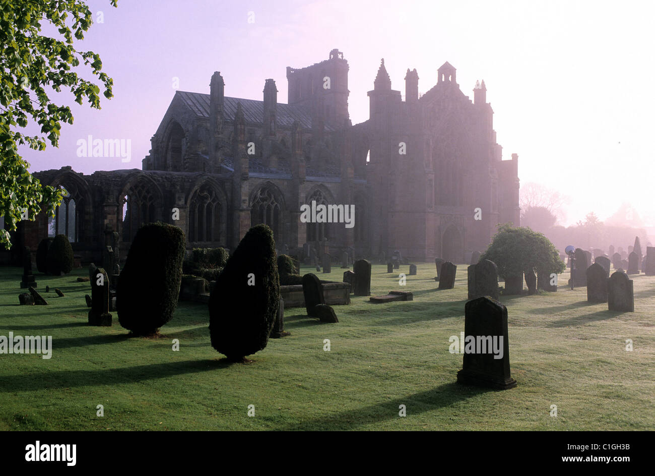 Großbritannien, Schottland, die Grenzen, Melrose Abbey Ruinen Stockfoto