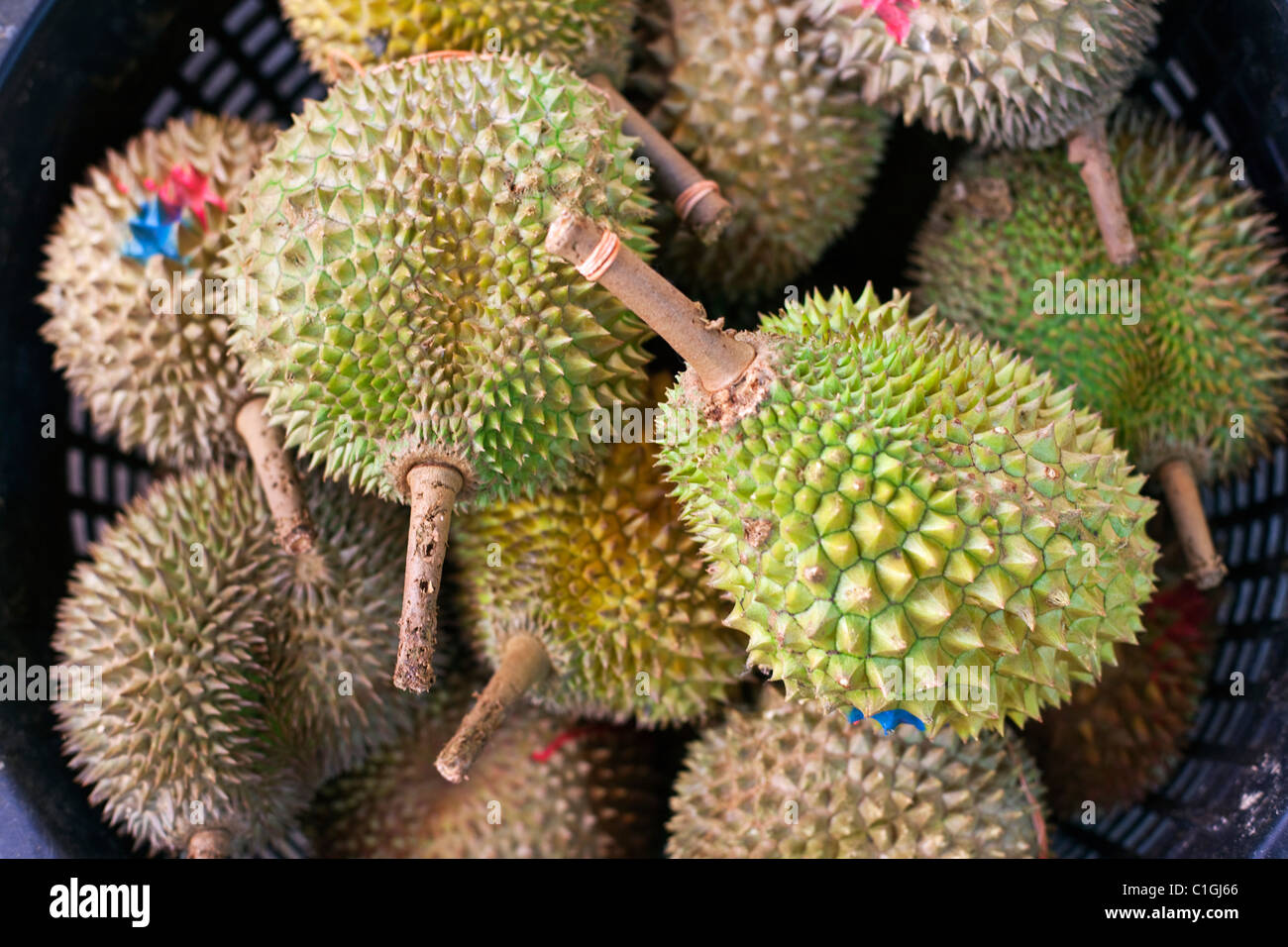 Durian (tropische Frucht) in den Märkten zu verkaufen.  Bugis, Singapur Stockfoto