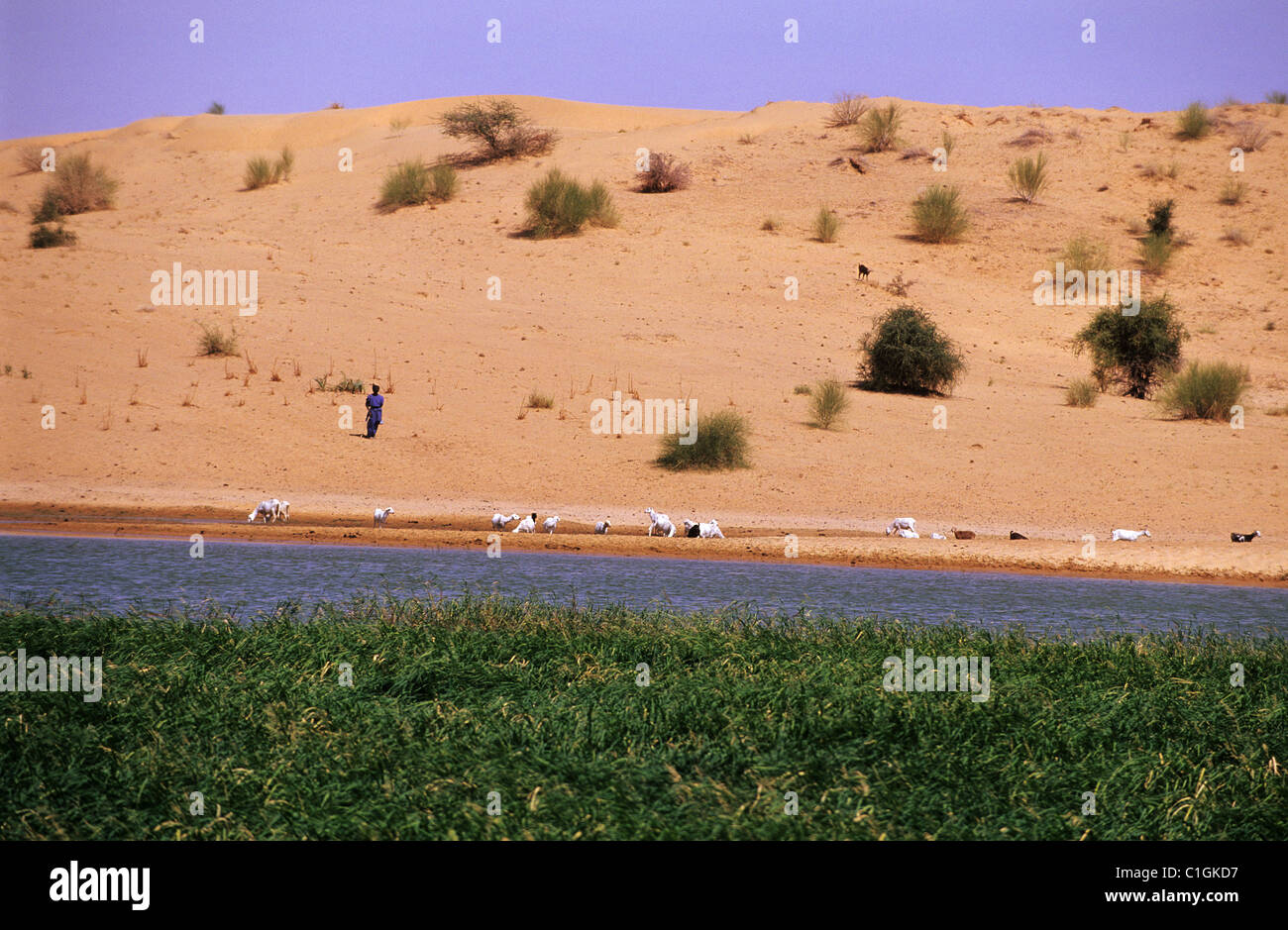 Mali, die Ufer des Flusses Niger Stockfoto