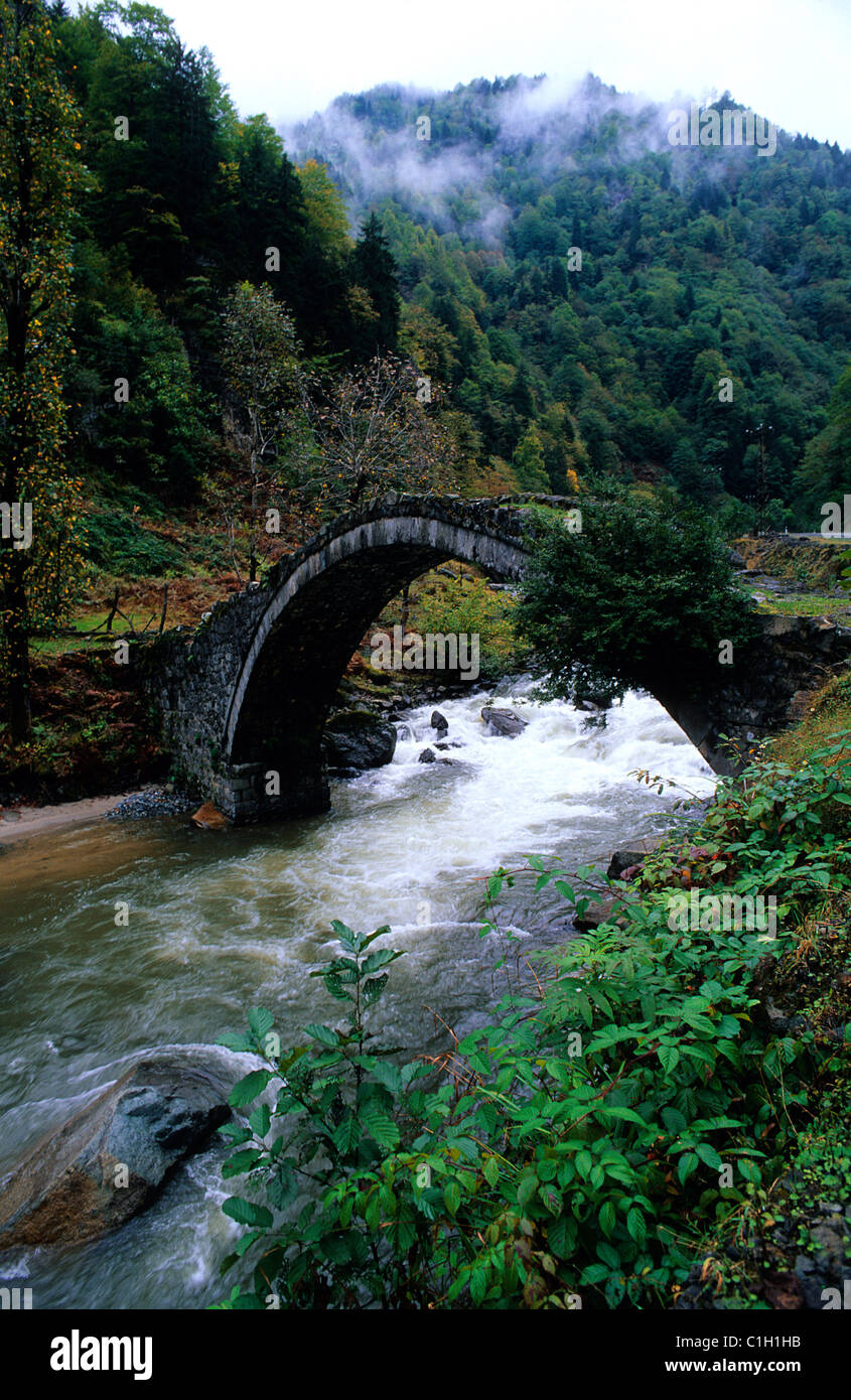 Türkei, Schwarzmeer-Region rund um Rize Stadt, Ayder Straße Stockfoto