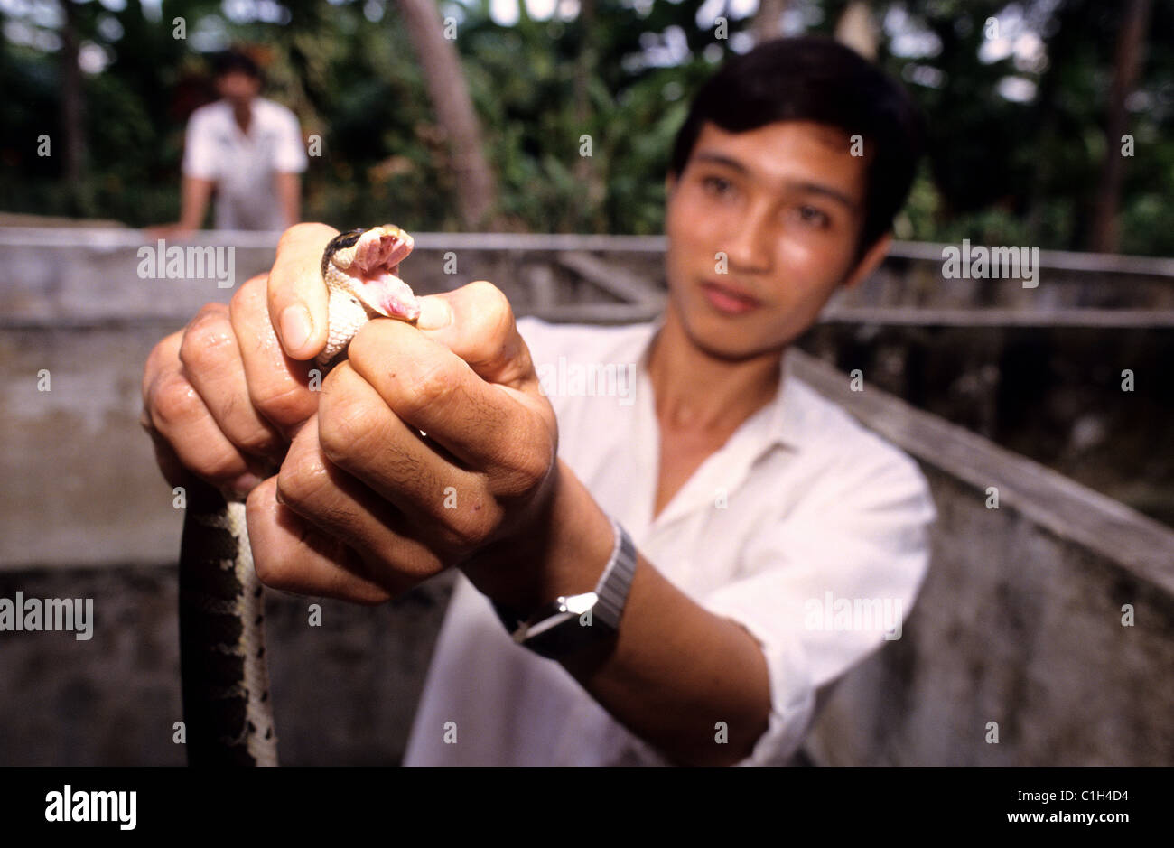 Vietnam, My Tho, die Schlangen farm Stockfoto