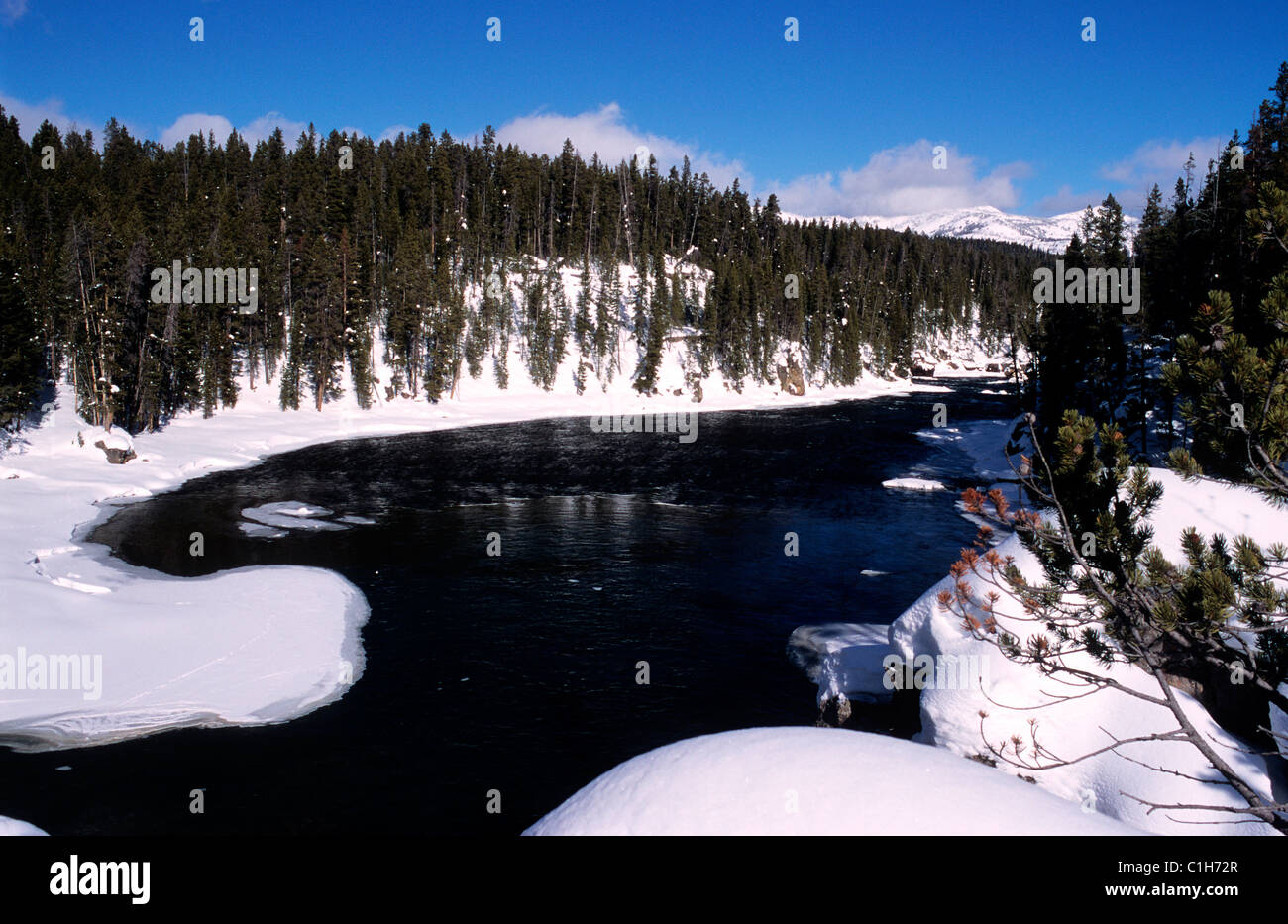 USA, Wyoming, Yellowstone-Nationalpark von der UNESCO als Welterbe gelistet Stockfoto