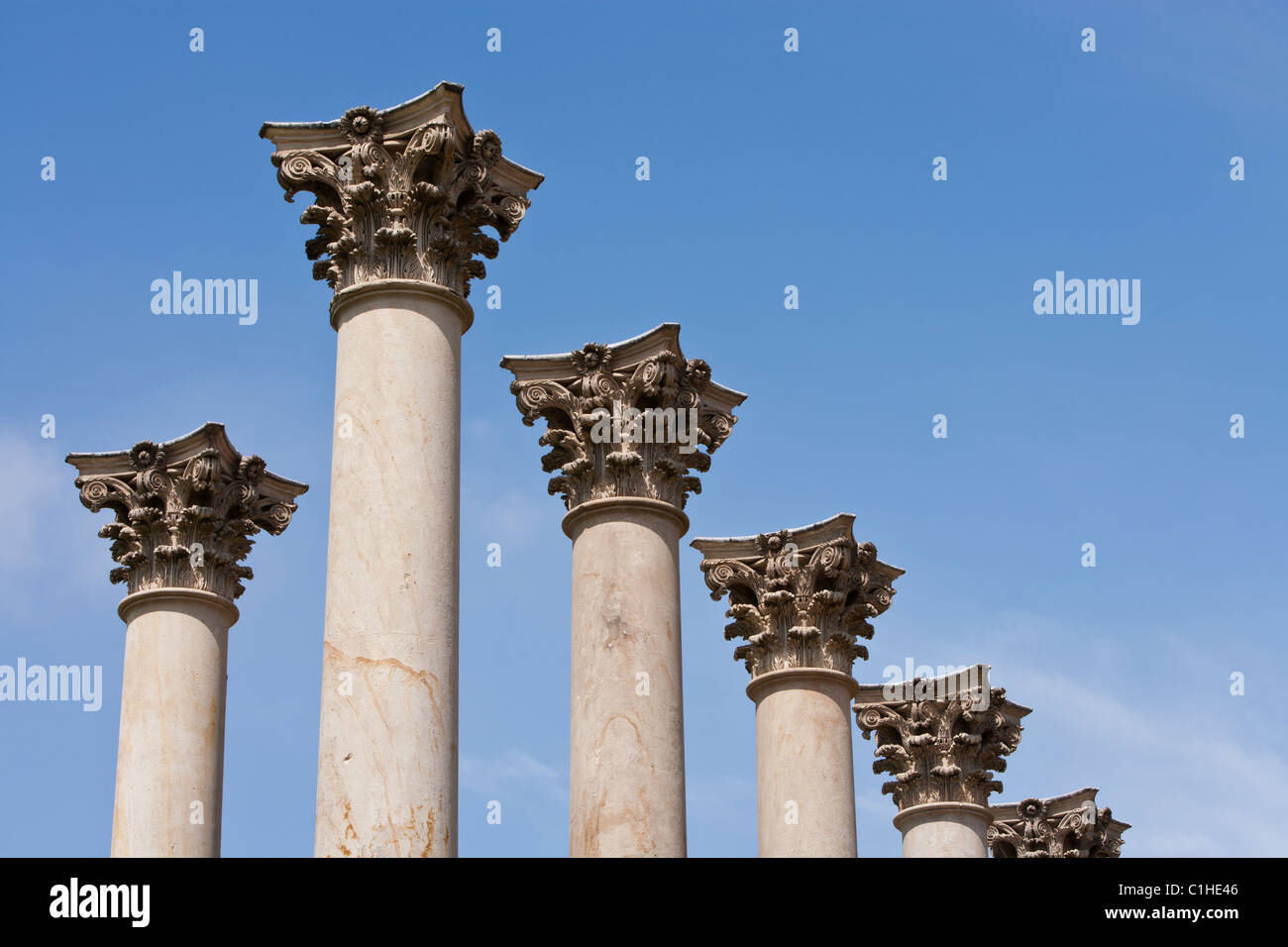 Korinthischen Kapitellen auf Spalten - der "Capitol Columns" Washington, DC Stockfoto
