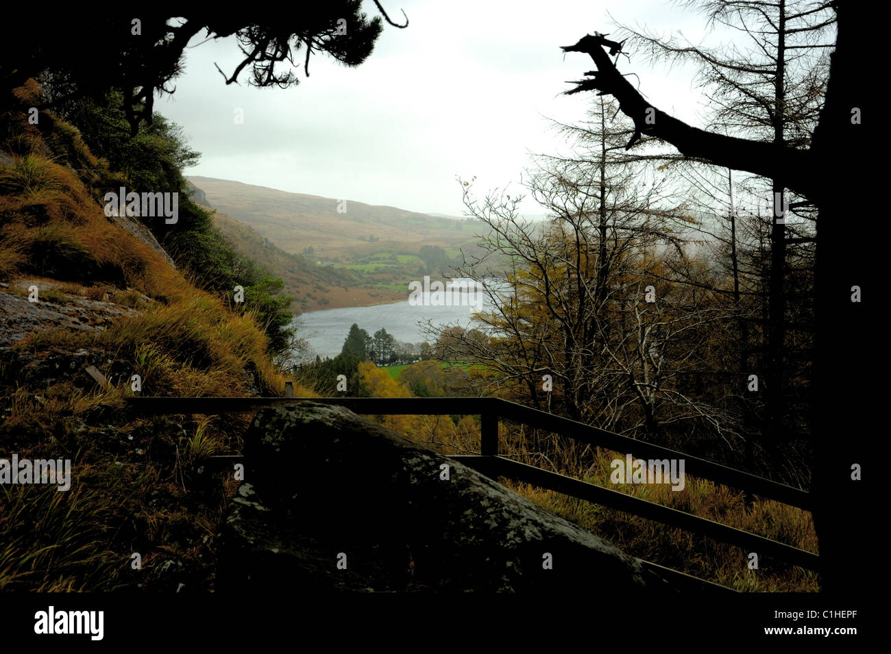 Blick auf den See am Gougane Barra Stockfoto