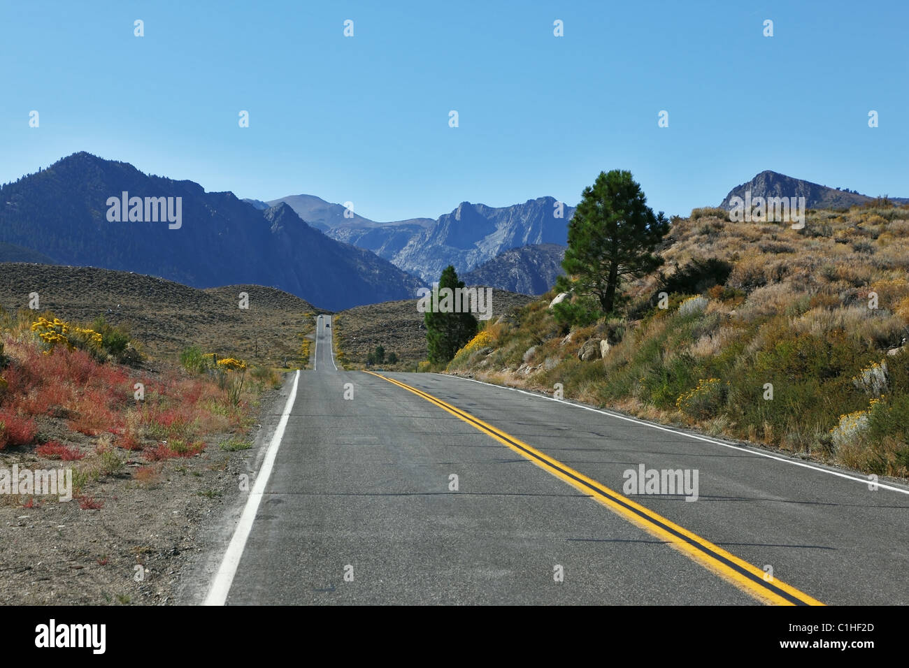 Die Straße ging. Große amerikanische Straße führt durch die schöne Wüste Stockfoto
