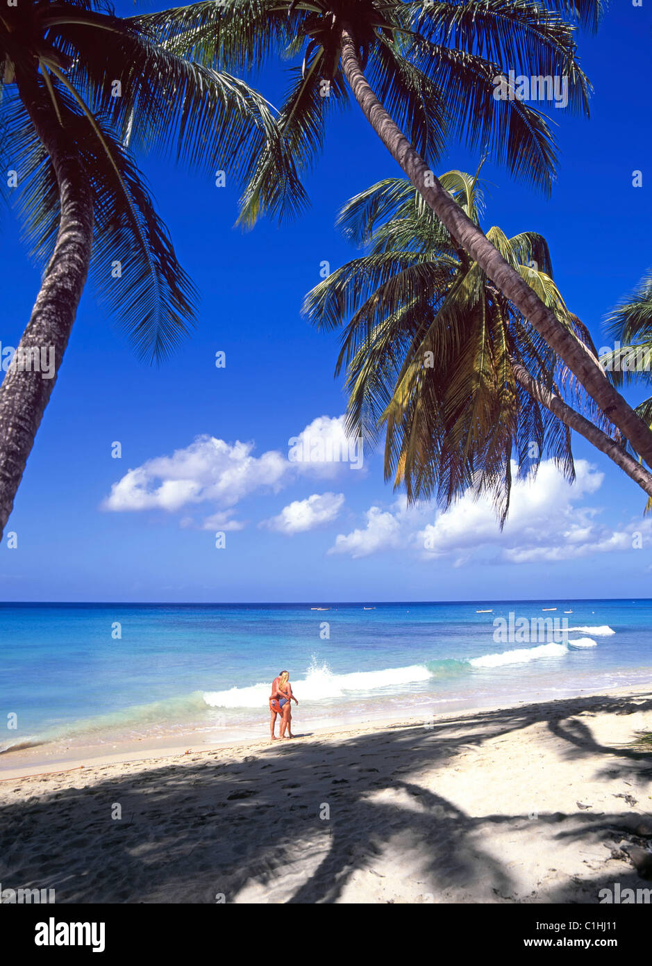 Ein Paar, das an einem idyllischen, sonnigen Tag mit blauem Himmel an der Westküste von Barbados einen Spaziergang entlang der karibischen Strandlandschaft am Ufer der Sandpalmen Unternehmen kann Stockfoto