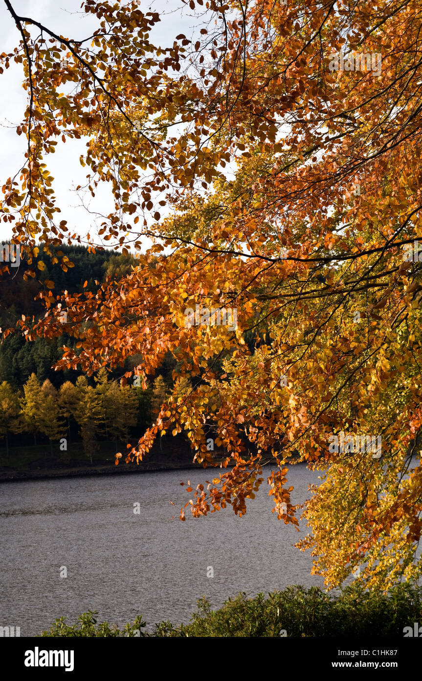 Wertungen Seite des Wassers Stockfoto
