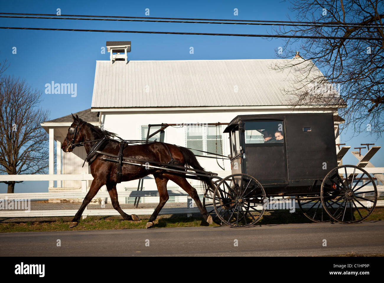 Amische Pferd und Buggy in Gordonville, PA. Stockfoto