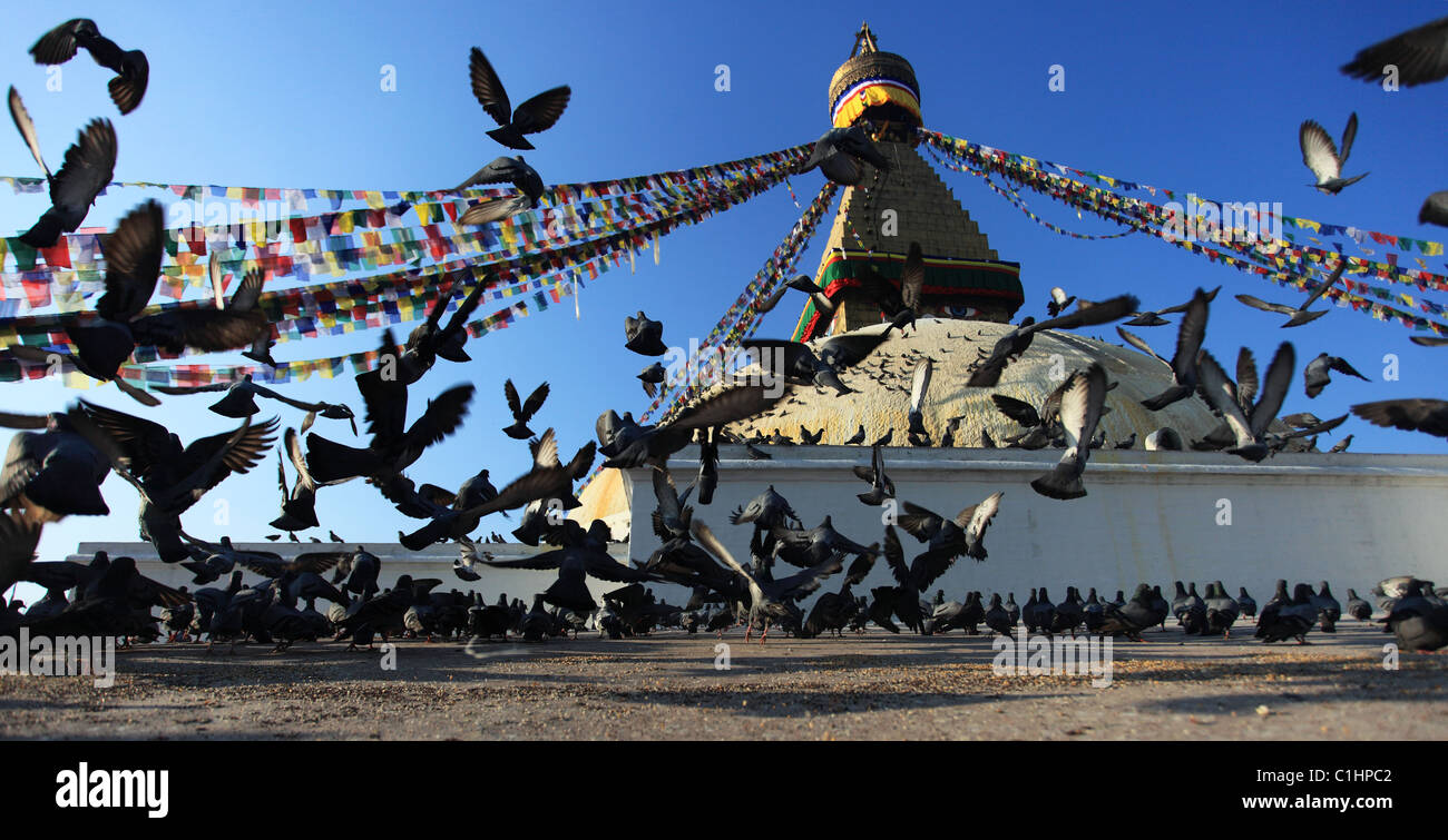 Stupa in Boddhanath Boddha Nepal Himalaya Gebetsfahnen Stockfoto