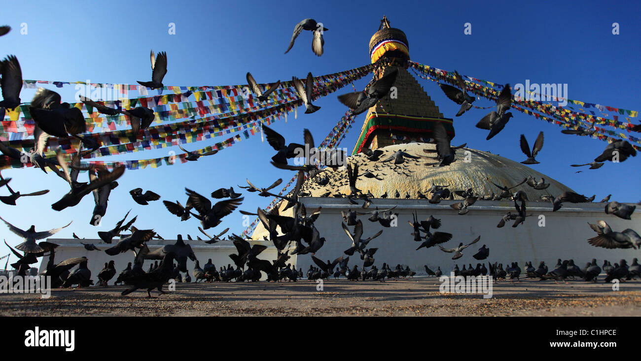 Stupa in Boddhanath Boddha Nepal Himalaya Gebetsfahnen Stockfoto