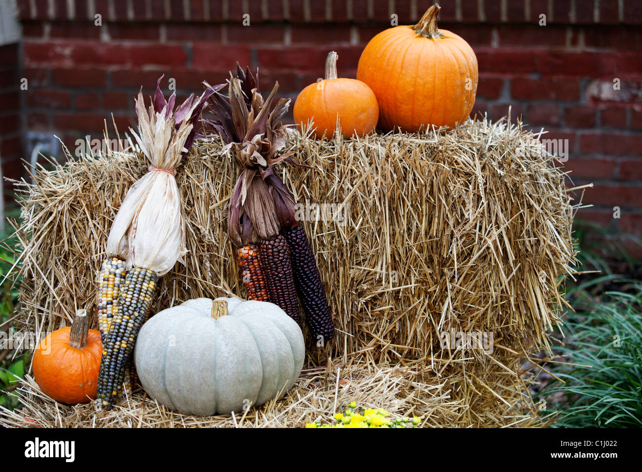 Kürbis und Mais mit Heuballen Stockfoto