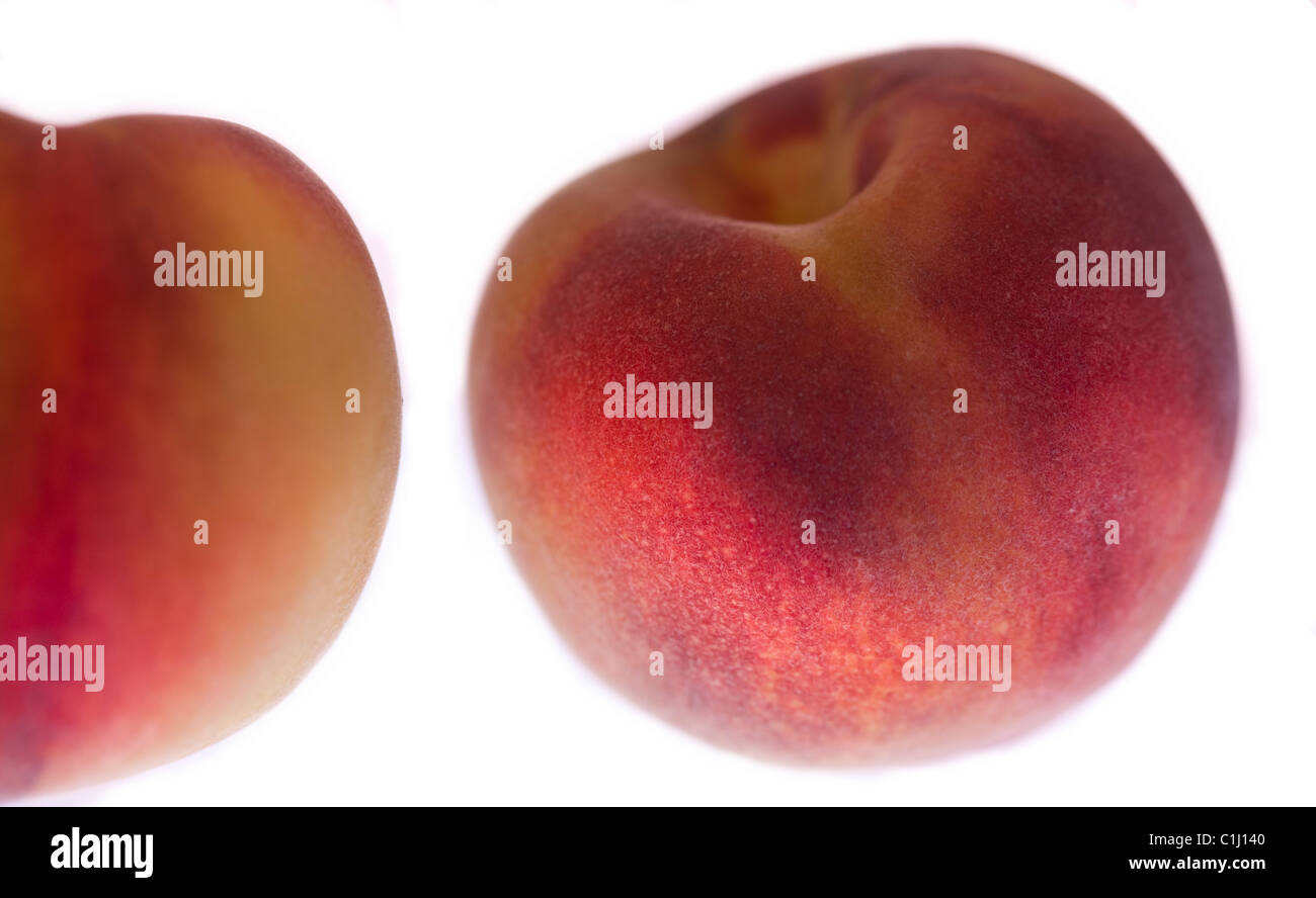Zwei Pfirsiche weißer Hintergrund Stockfoto