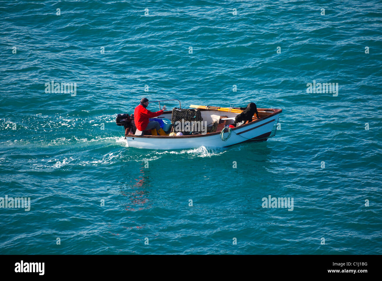 Kleines Hummerboot mit Fischer und Hund aus Port Isaac, Cornwall, England Stockfoto