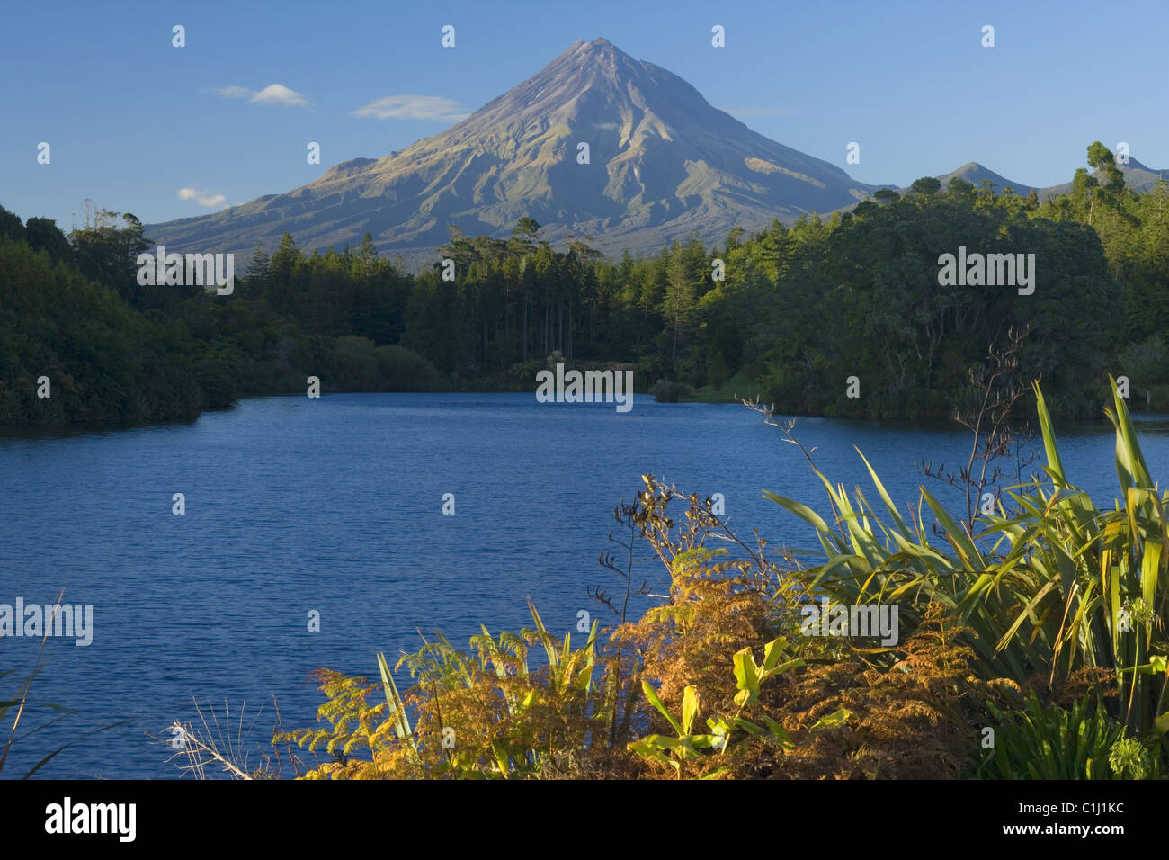 Mount Egmont, Neuseeland Stockfoto