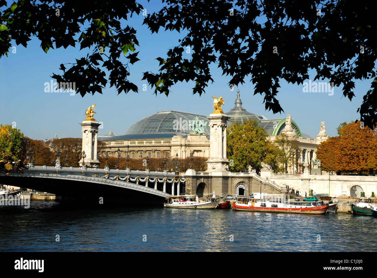 Alexandre III Brücke, die überquert die Seineufer und Grand Palais in Paris in Frankreich mit Laub im Vordergrund Stockfoto