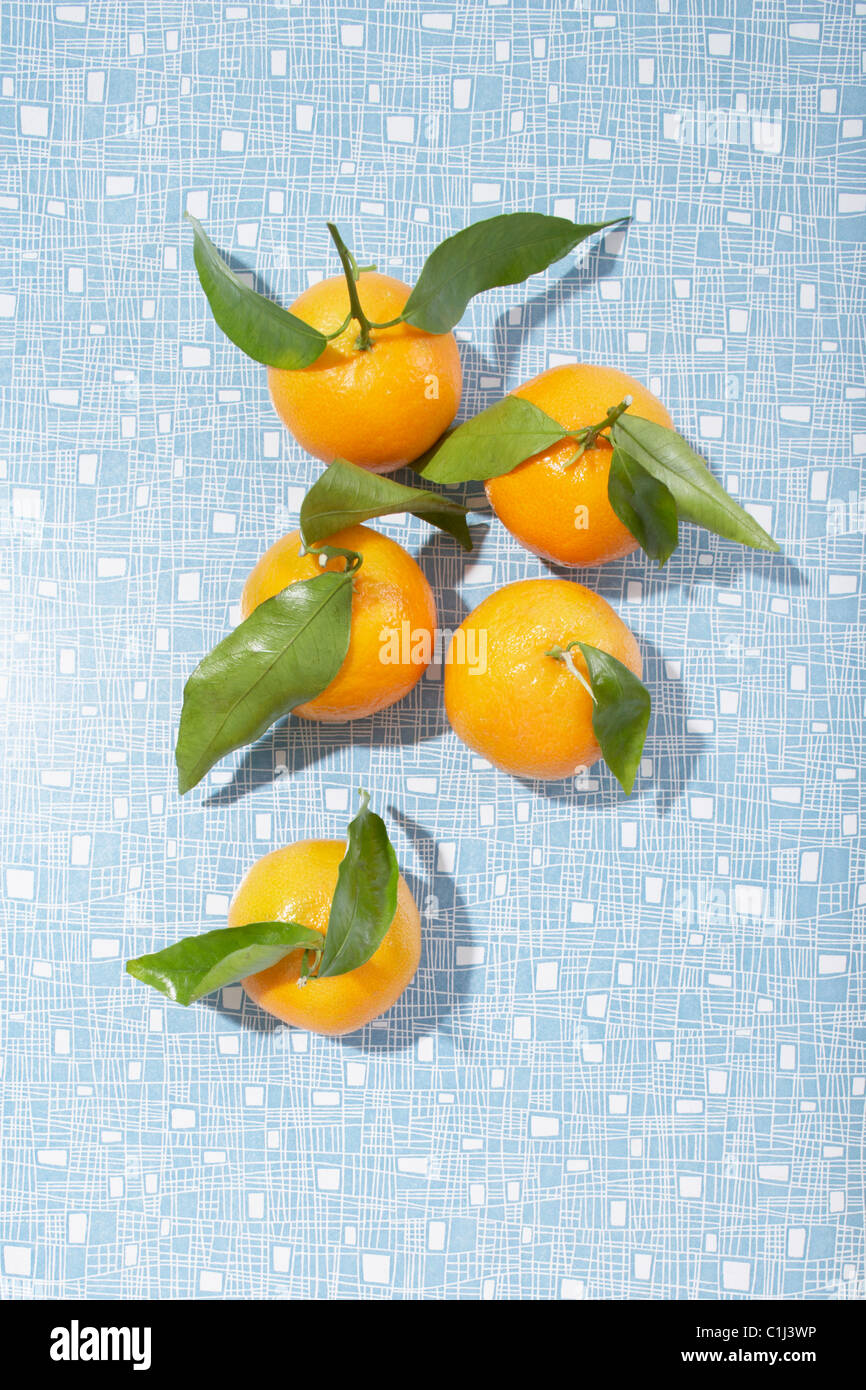 Mandarin-Orangen Stockfoto