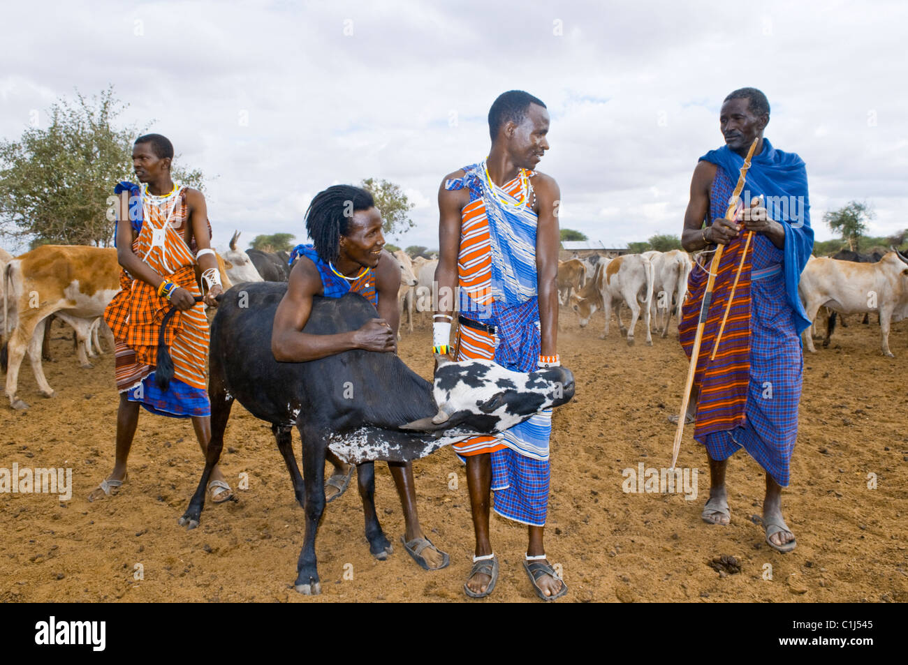 Massai-Dorf, Serengeti Dessert, Tansania Stockfoto