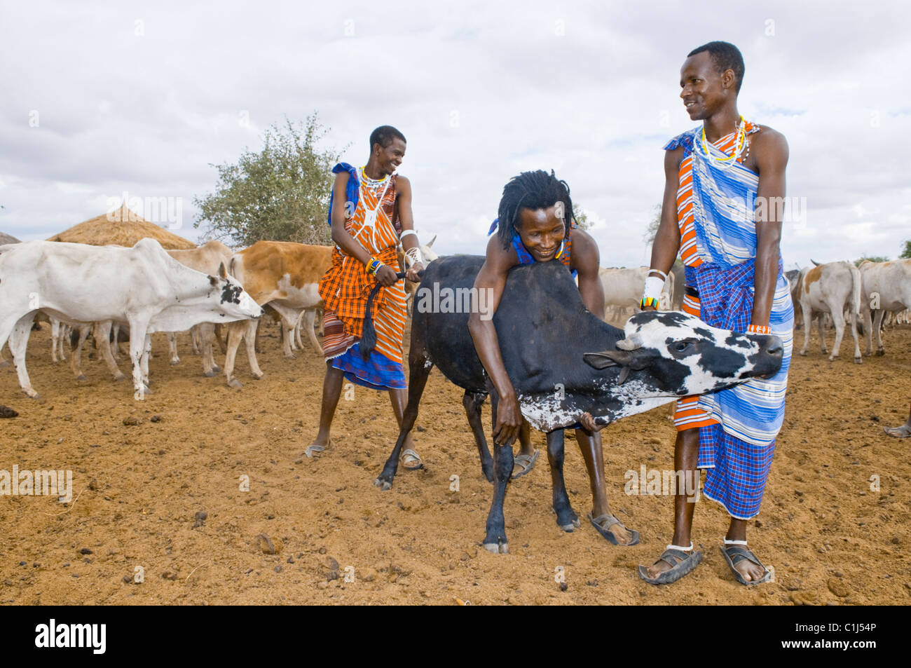Massai-Dorf, Serengeti Dessert, Tansania Stockfoto