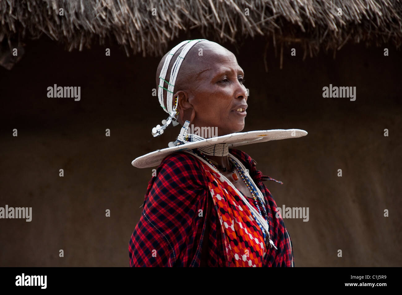 Masai Frauen in einem kleinen Massai-Dorf in der Ngorongoro Conservation Area, Tansania, Afrika Stockfoto