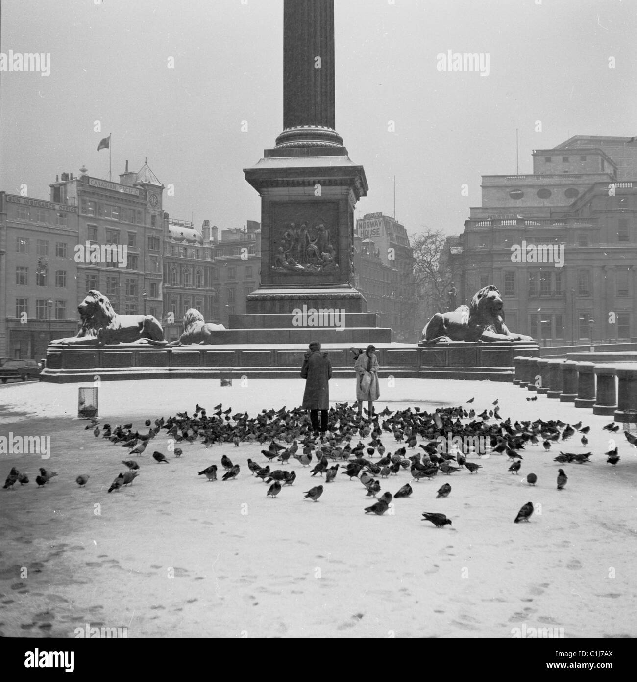 Trafalgar Square, London, 1950er Jahre, Winterzeit und auf schneebedecktem Boden füttert ein Paar die Tauben an Nelson's Column. Stockfoto Trafalgar Square, London, 1950er Jahre, Winterzeit und auf schneebedecktem Boden füttert ein Paar die Tauben an Nelson's Column. Stockfoto