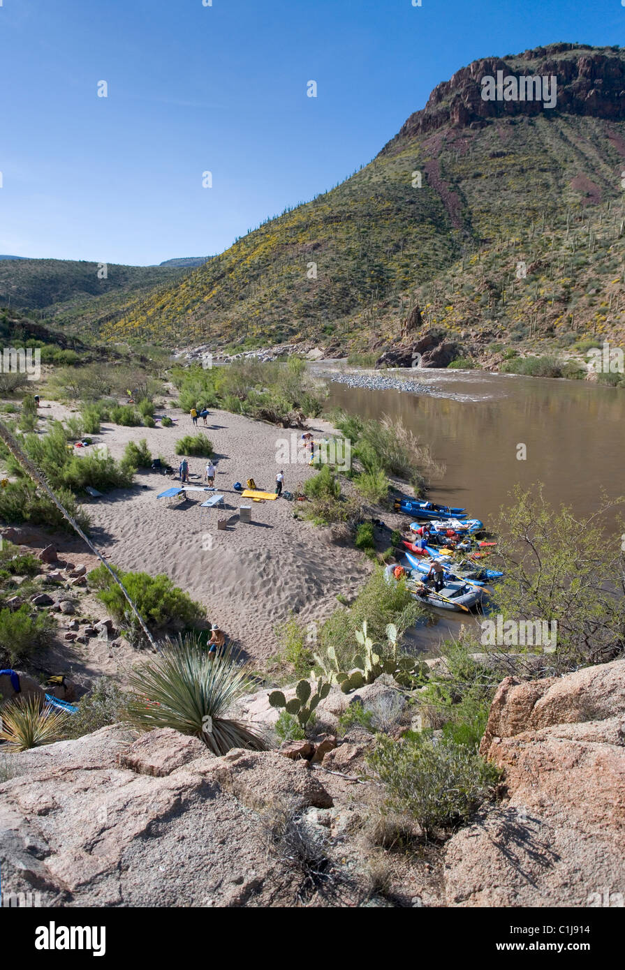 Eine Gruppe von Freunden, mit Kursteilnehmern ausführen wird ein Tag am Fluss Salz setzen ihre Zelte am Strand. Der Salt River ist in Arizona U Stockfoto