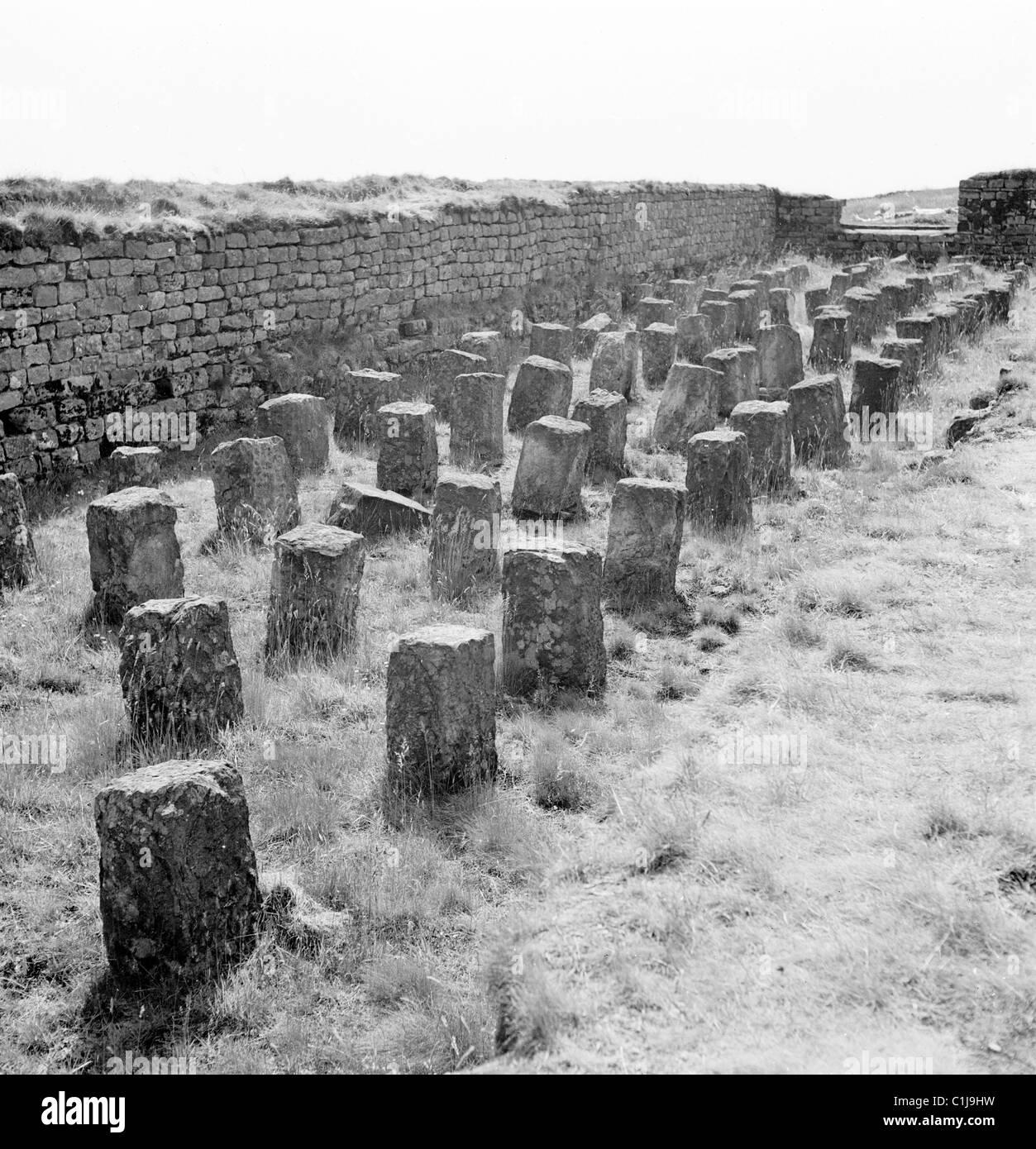 1950er Jahre, historische, kleine Grabsteine in Reihen neben einer Steinmauer auf einem alten Landfriedhof, England, Großbritannien. Stockfoto