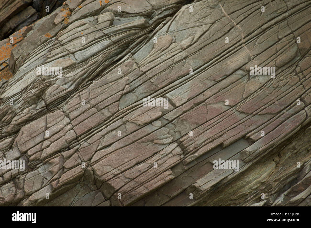 Alten Gesteinsschichten in der Nähe von Holyhead, bildeten etwa 600 Millionen Jahren Stockfoto