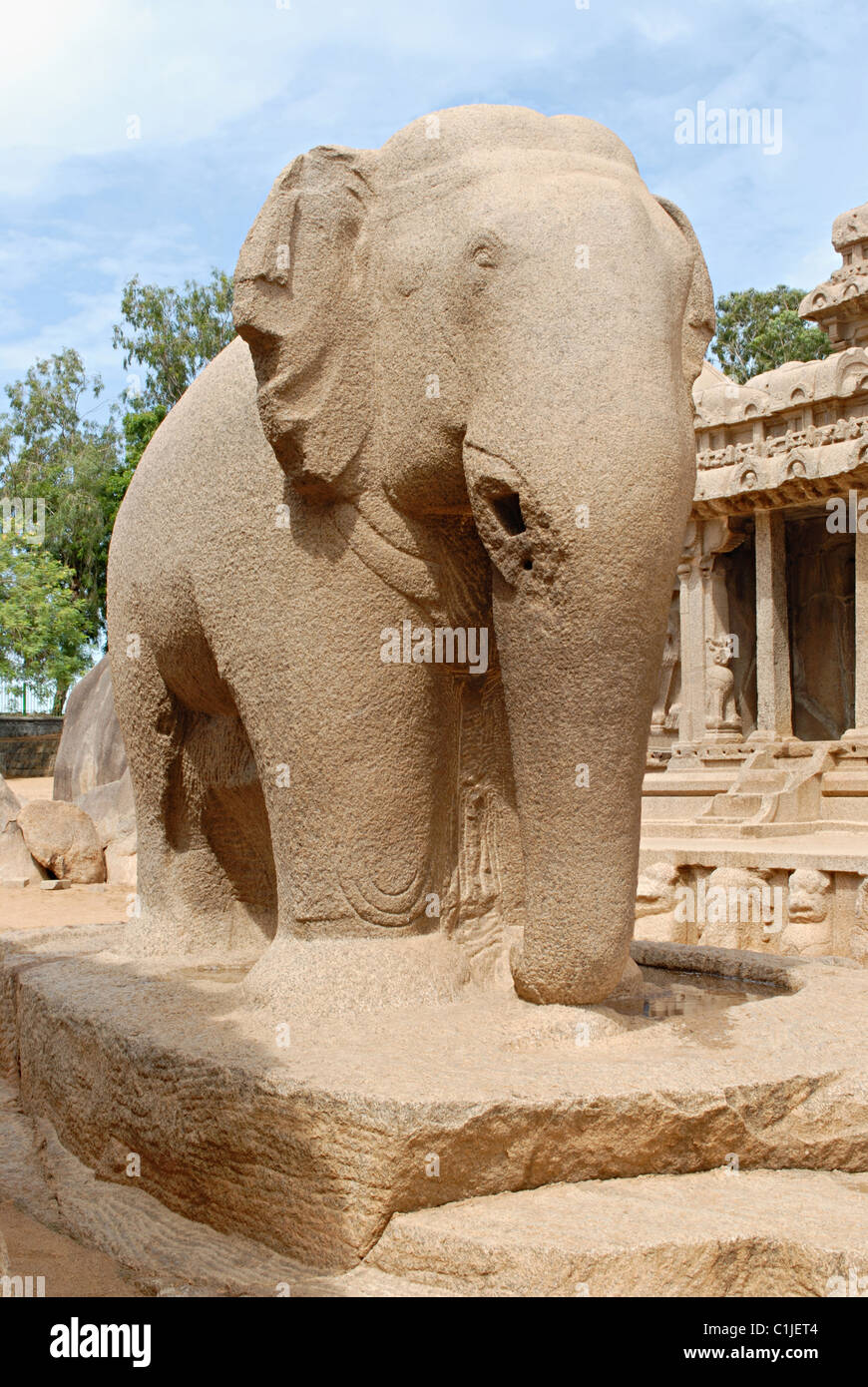 Monolithischen Felsen geschnitten Elefant neben Nakula Sahadeva Ratha, ca. 7. Jahrhundert A.D., Mahaballipuram, Tamil Nadu, Indien. Stockfoto