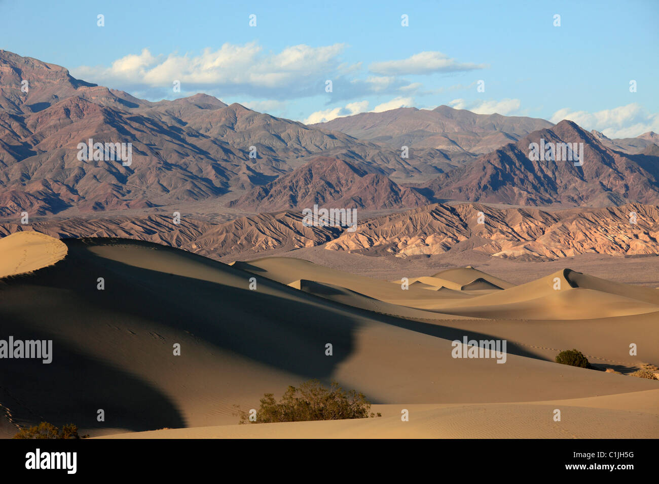 USA, California, Death Valley, Nationalpark, flache Mesquite, Sanddünen, Stockfoto
