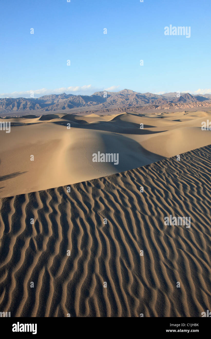 USA, California, Death Valley, Nationalpark, flache Mesquite, Sanddünen, Stockfoto