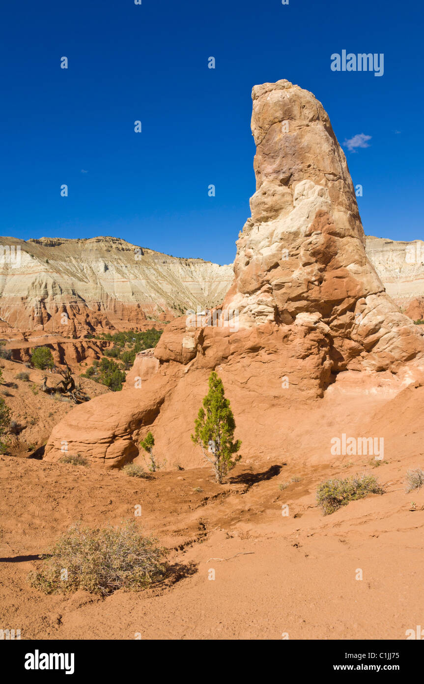 Große Säule aus Sedimentgestein Kodachrome Basin State Park Grand Staircase-Escalante National Monument Kane County Utah USA Stockfoto