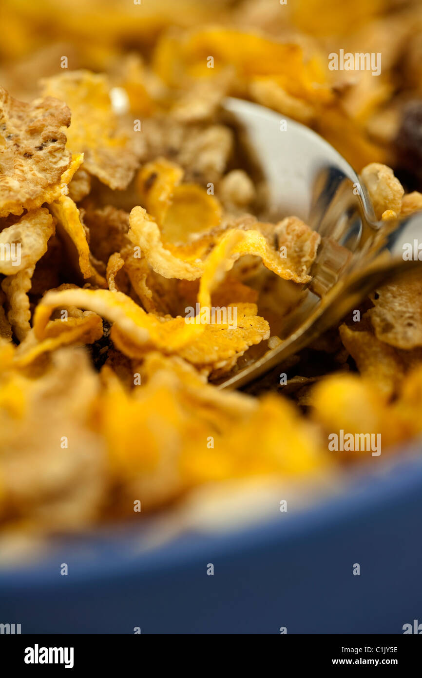 Schließen Sie herauf Bild einer blauen Schüssel mit Müsli und ein Löffel aus Edelstahl. Stockfoto