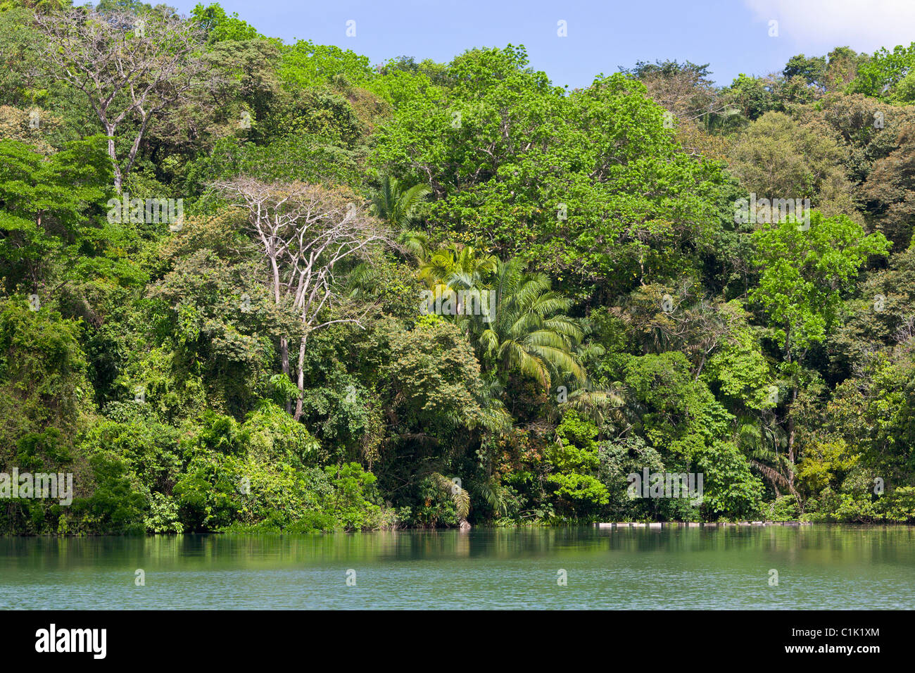 Gatun See, Panama Stockfoto