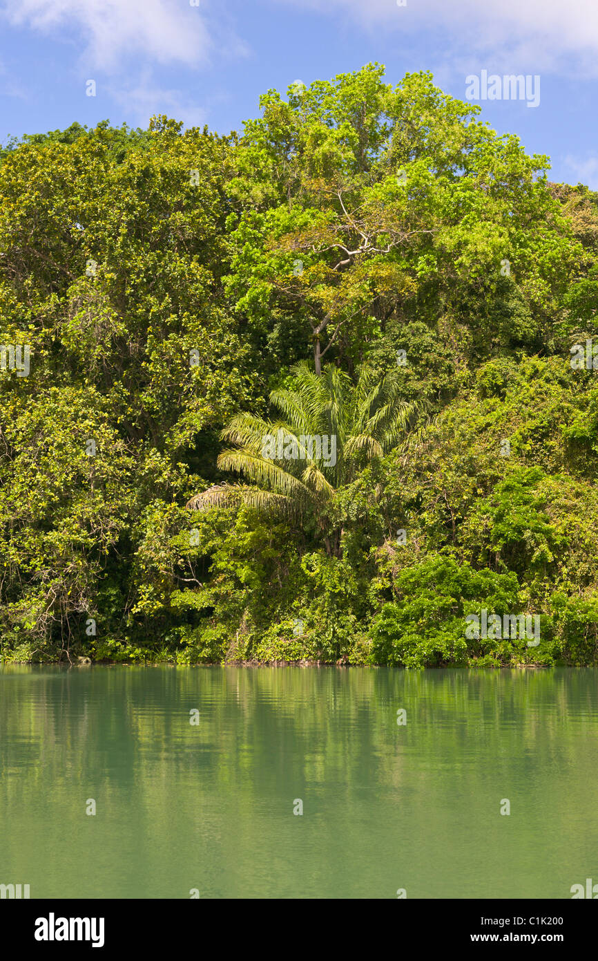 Gatun See, Panama Stockfoto