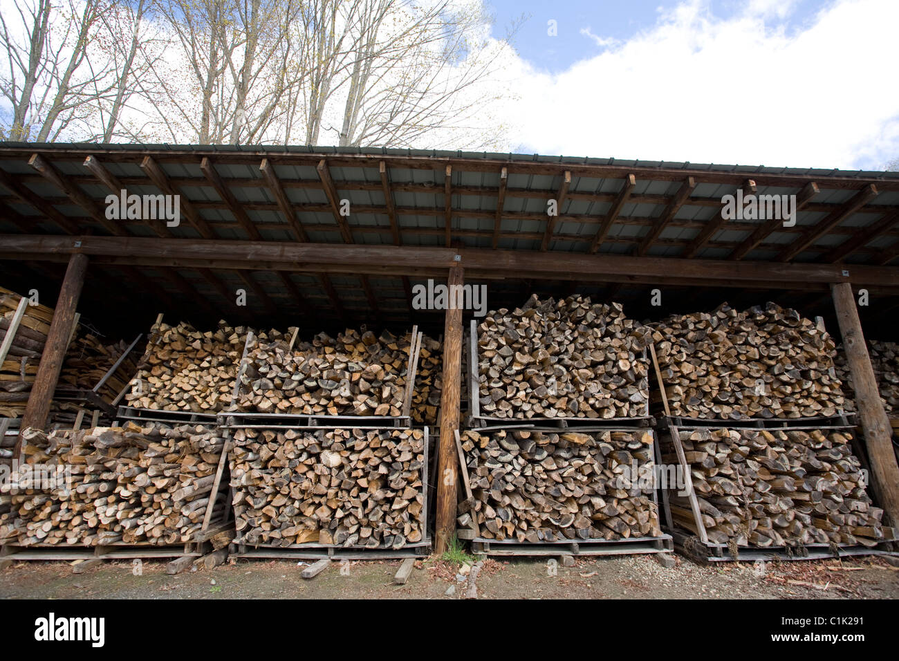 Holz wird geteilt und gestapelt, warten im Ahornzucker Haus Feuer verbrannt werden. Stockfoto