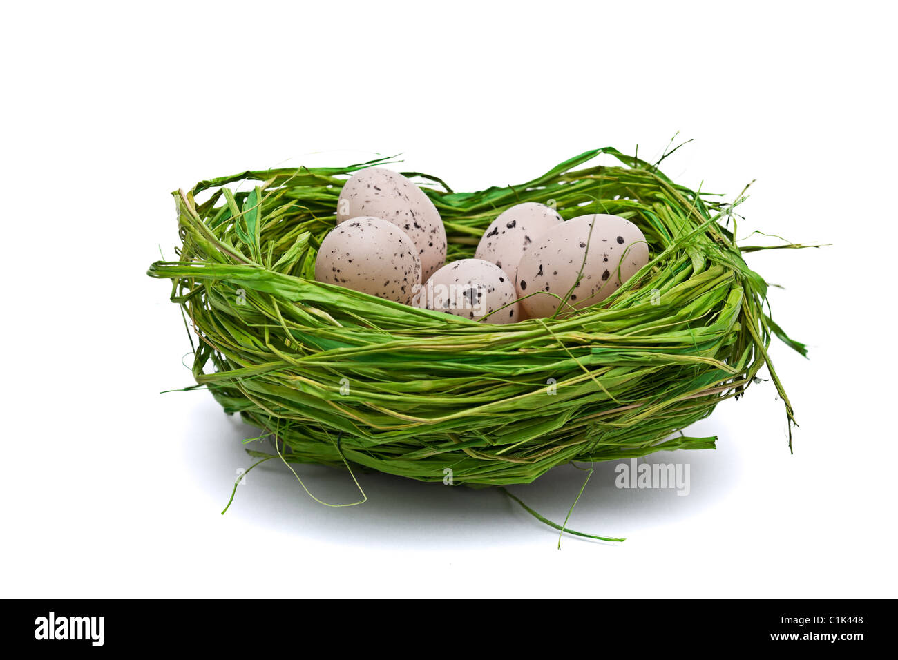 Nest voll Eier. Isoliert auf weißem Hintergrund. Stockfoto