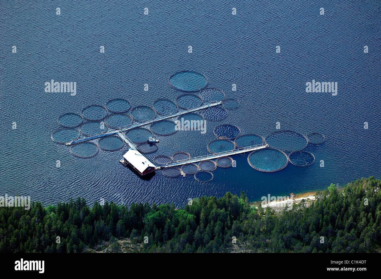 Schweden, Region von Umea, Fischerei, Fischzucht in der Ostsee (Luftbild) Stockfoto