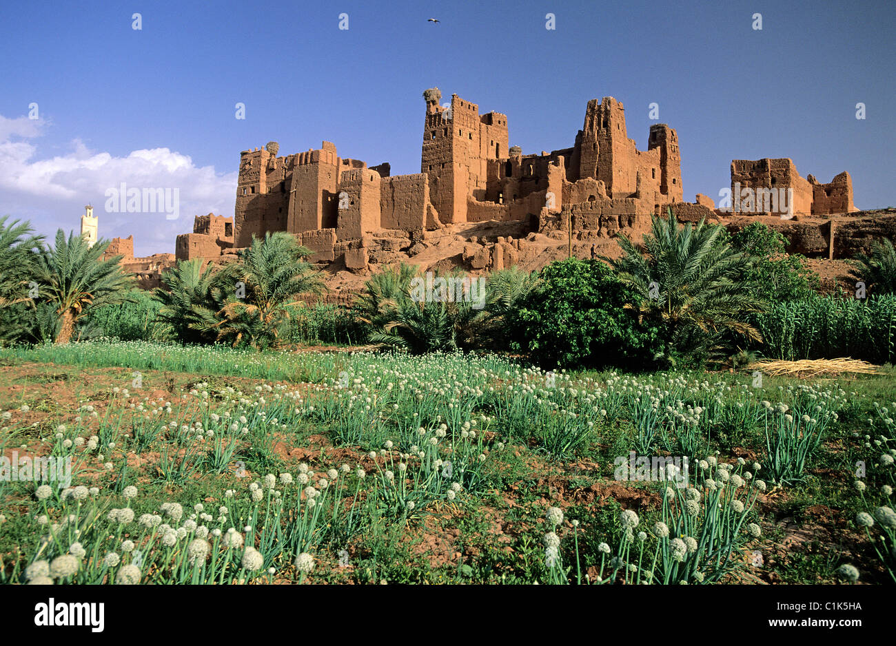 Marokko, Tamesla Kasbah in der Nähe von Ouarzazate Storch Kasbah nennt man auch Stockfoto