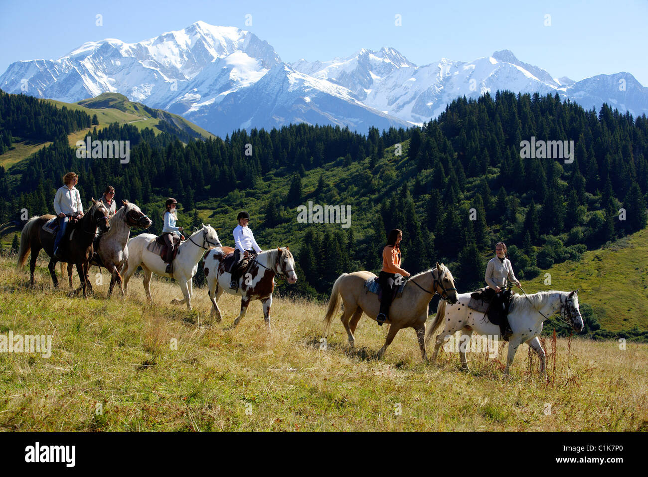 Frankreich, Savoyen, Les Saisies, Reiten im Beaufortain massiv, Mont Blanc im Hintergrund Stockfoto