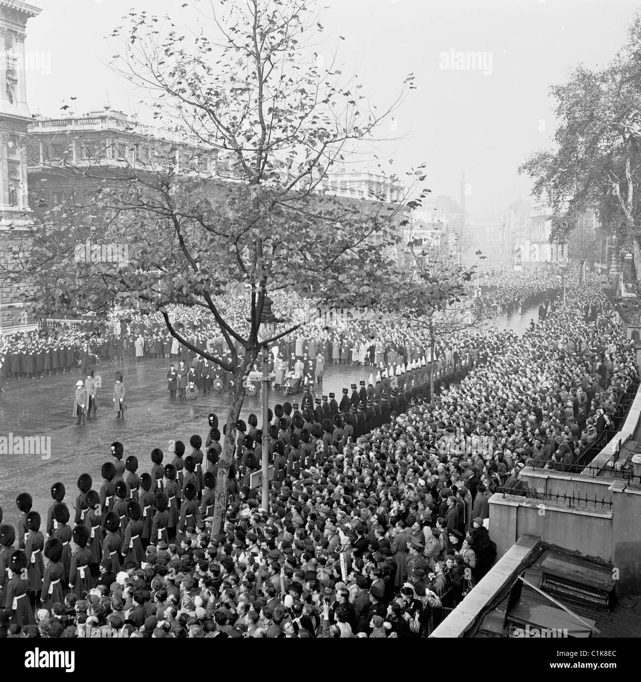 London, 1950er Jahre. Große Menschenmengen sehen die Armistice Day Parade am 11. November auf dem Kenotaph in Whitehall statt. Stockfoto