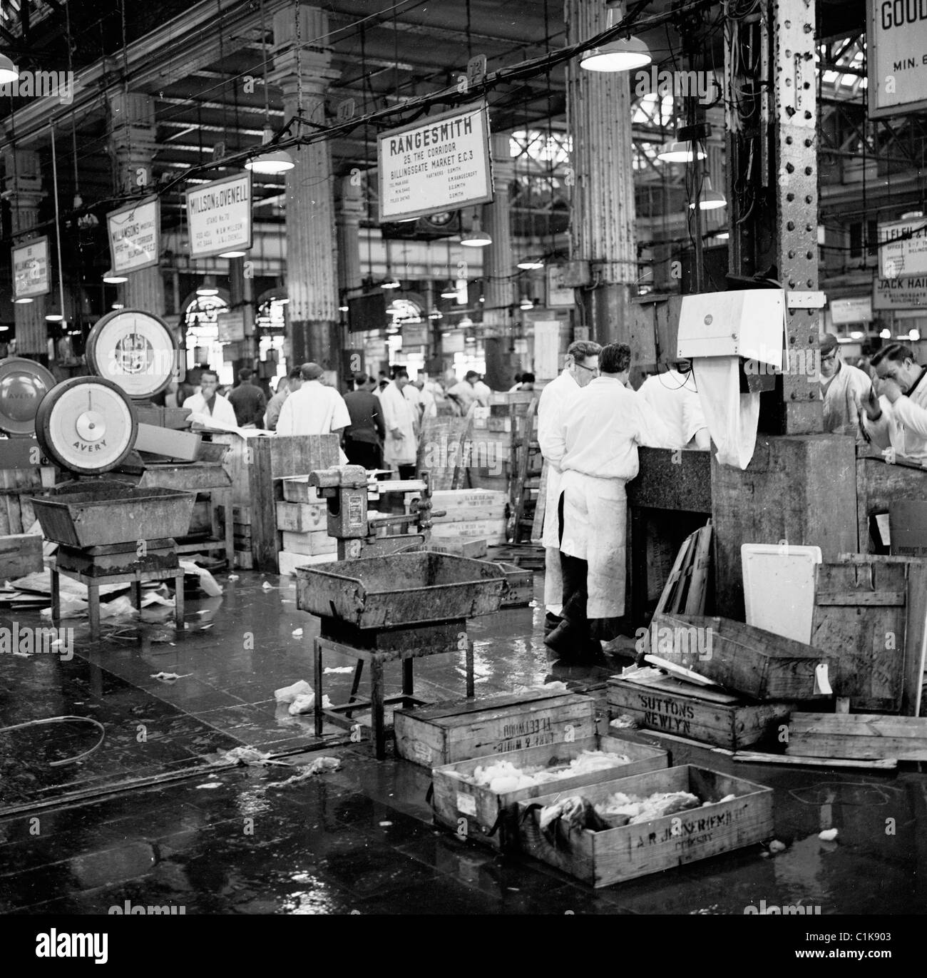 1950er Jahre, Fischhändler, die auf dem berühmten Billingsgate Fish Market in der Lower Thames Street, London, arbeiten. Entworfen von Sir Horace Jones, wurde es 1877 eröffnet. Stockfoto