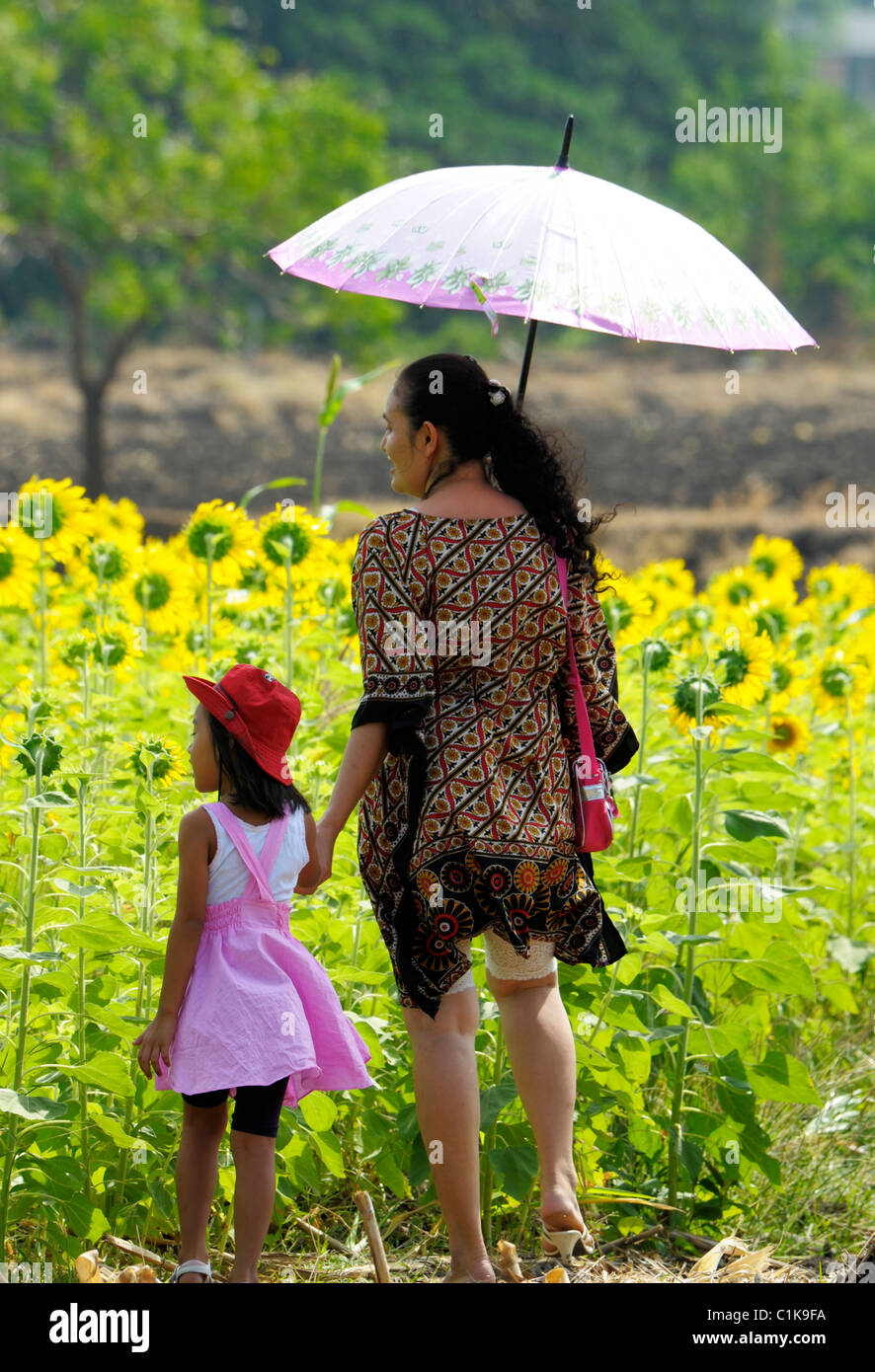 Mutter und Tochter zu Fuß durch Sonnenblumenfeld, Sonnenblumenfelder von Lopburi, Zentral-thailand Stockfoto