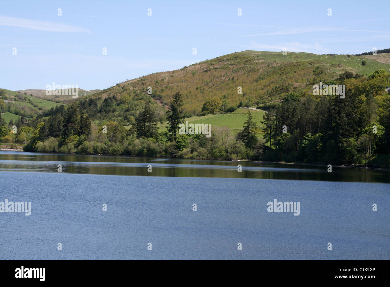 Lake Vyrnwy RSPB Reserve, Powys, Wales, UK Stockfoto