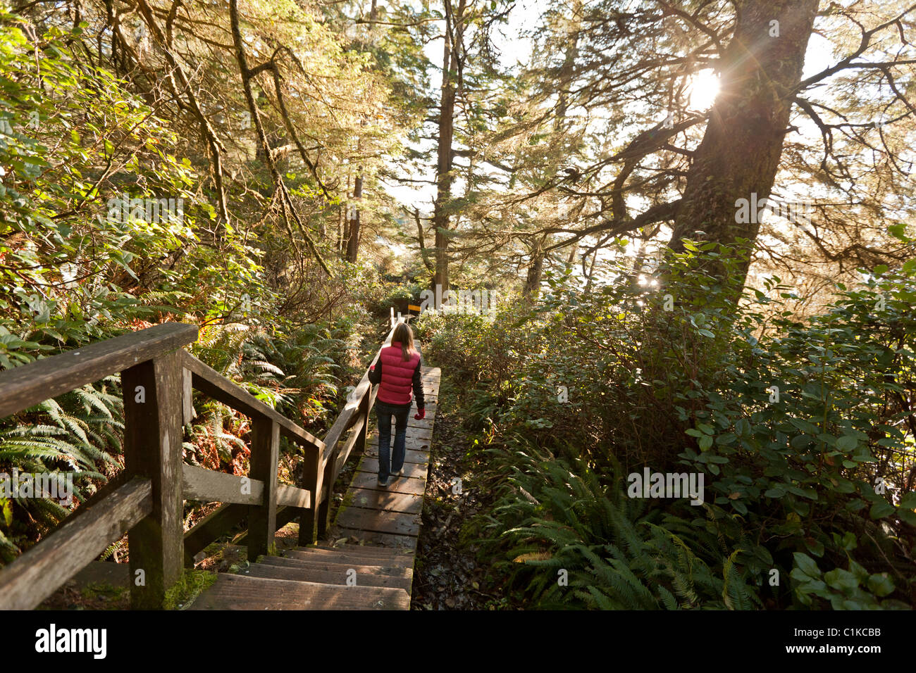 Frau, Wandern im Regenwald, Florencia Bay, Tofino, Vancouver Island, British Columbia, Kanada Stockfoto