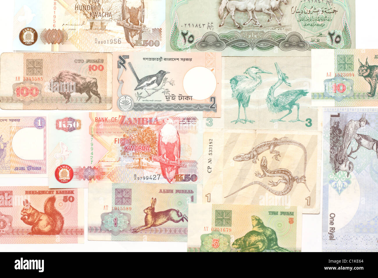 Hintergrund von Rechnungen des Geldes der afrikanischen Länder Stockfoto