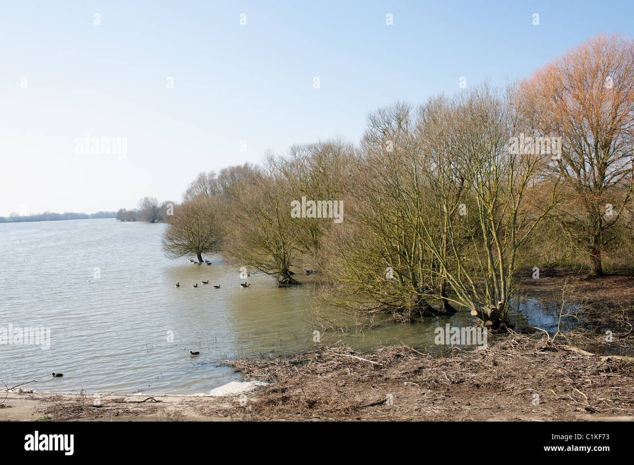 Abberton Wasserbehälter, Essex, Großbritannien. Stockfoto