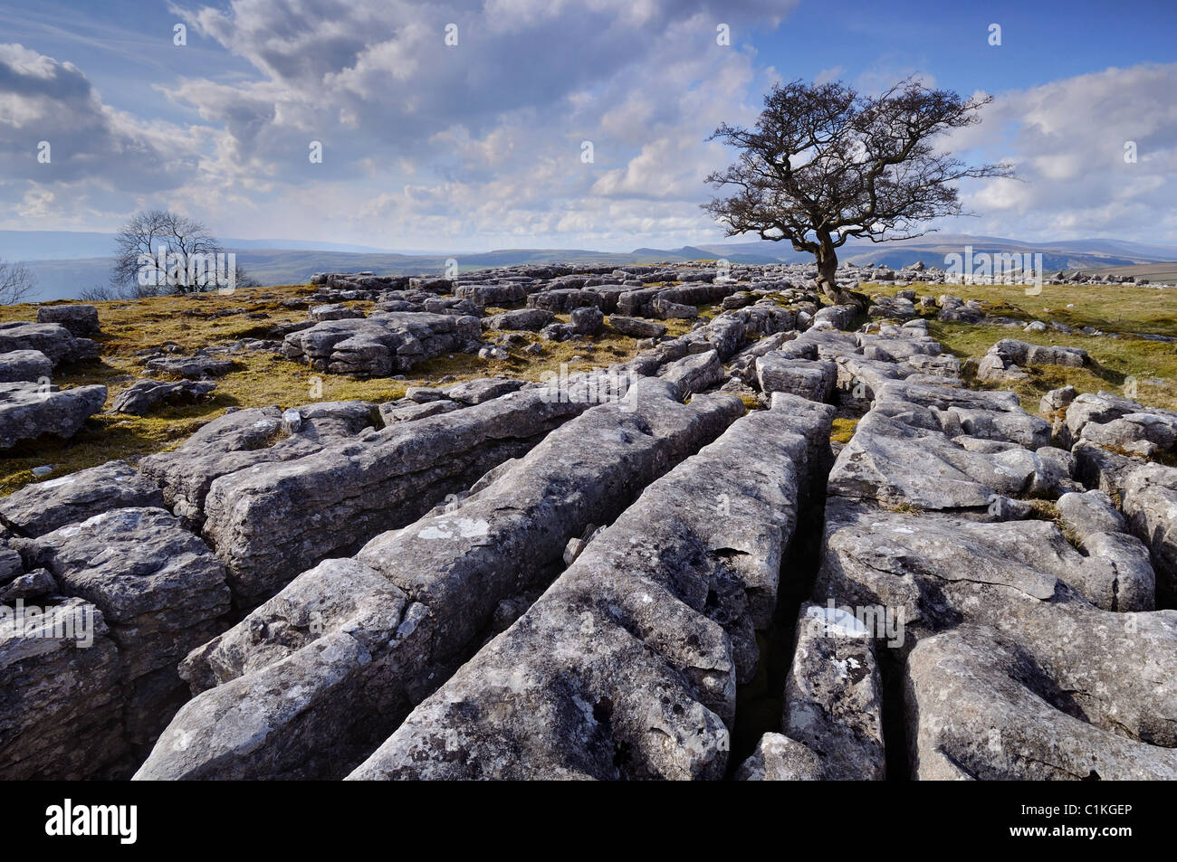 Kalksteinpflaster in der Nähe von Winskill nahe Langcliffe, Settle - der Yorkshire Dales National Park Stockfoto