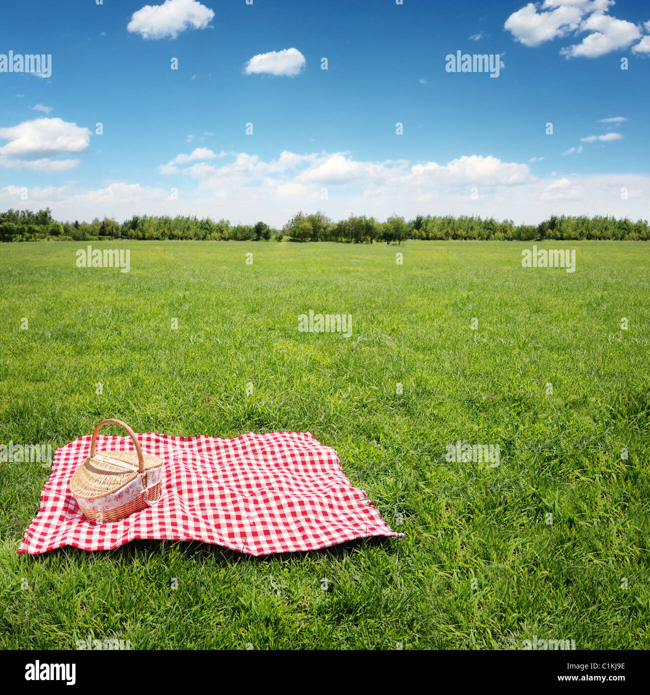 Picknick-Einstellung auf Wiese mit Textfreiraum. Stockfoto
