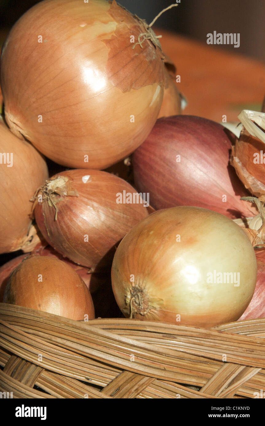 Nahaufnahme von gelbe Zwiebeln und Schalotten in einem Weidenkorb im Sommerlicht einer Küche in der Provence Stockfoto